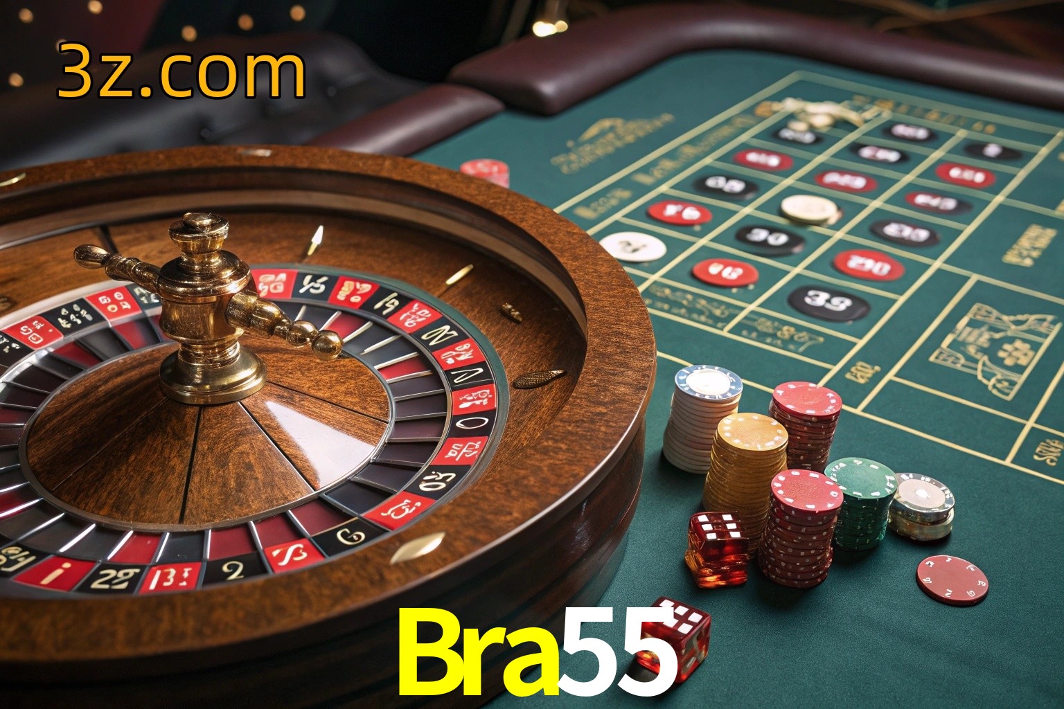  Bra55