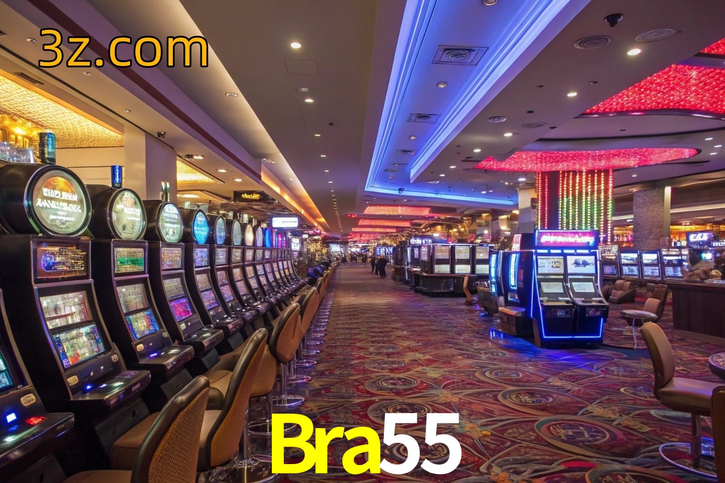  Bra55