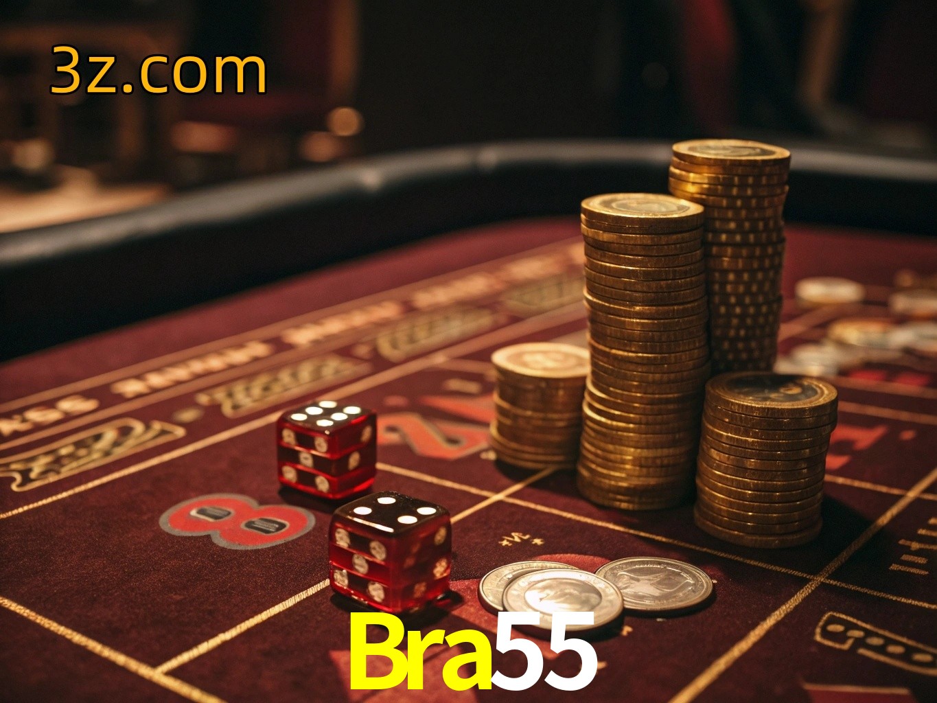  Bra55