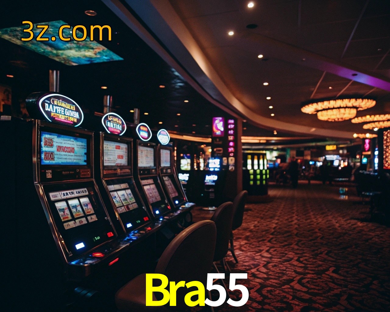  Bra55