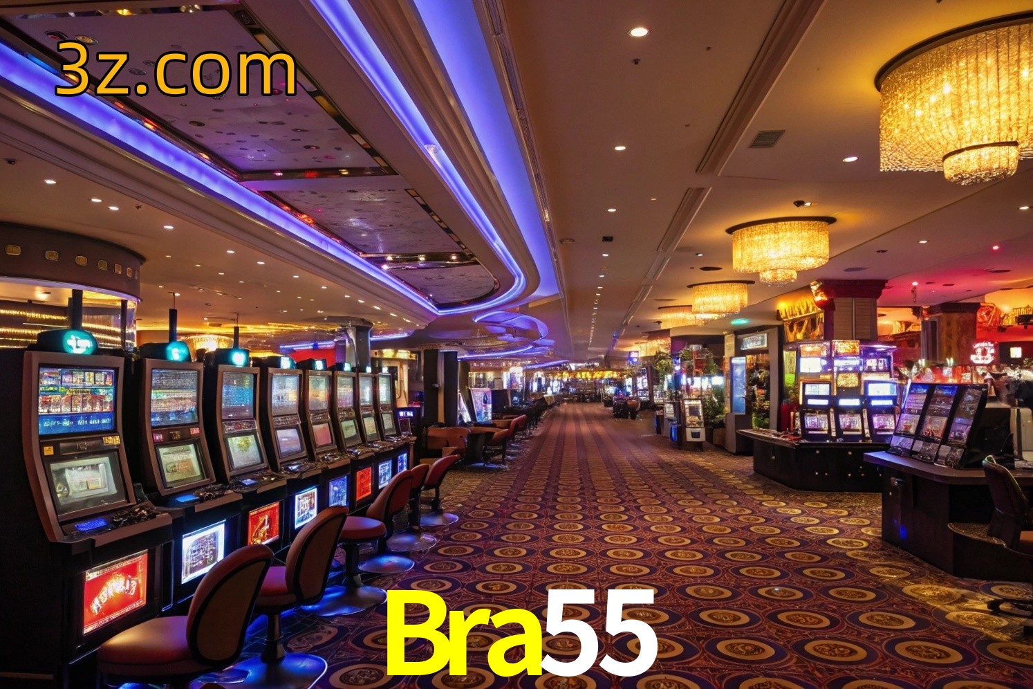 Bra55