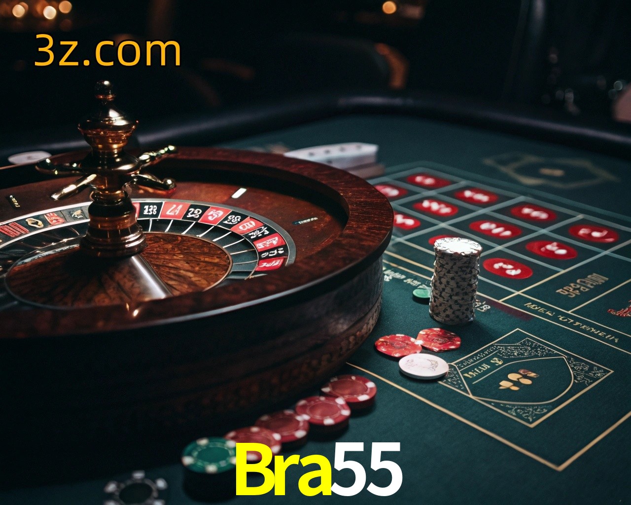  Bra55